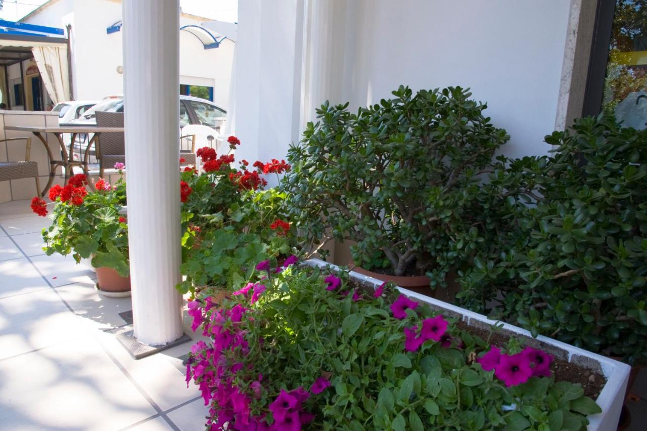 ריצ'יונה Hotel Maris Stella מראה חיצוני תמונה
